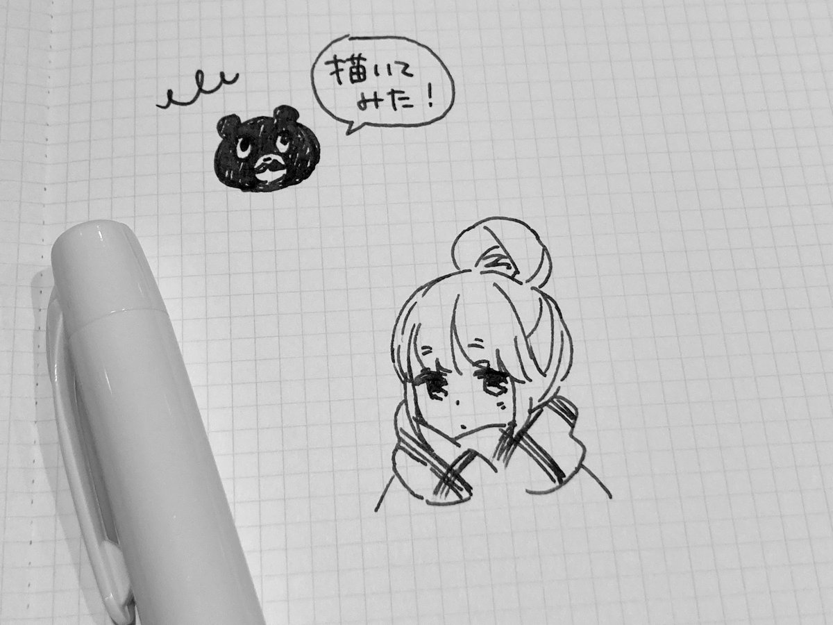 新しいノートと万年筆です! 