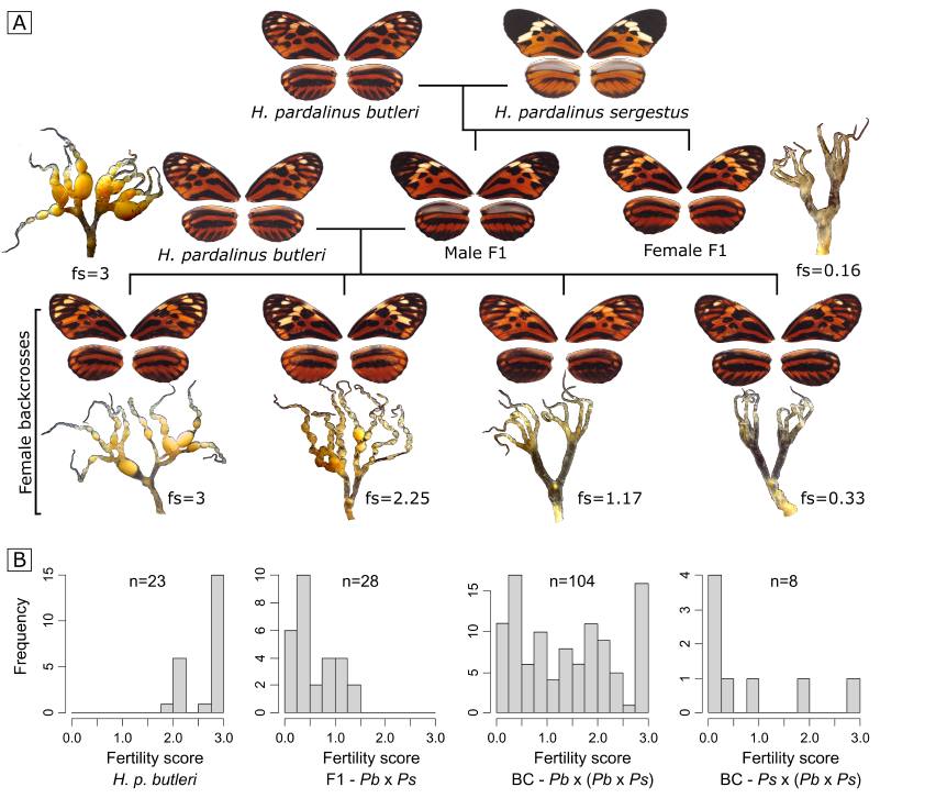 jim mallet tweet media