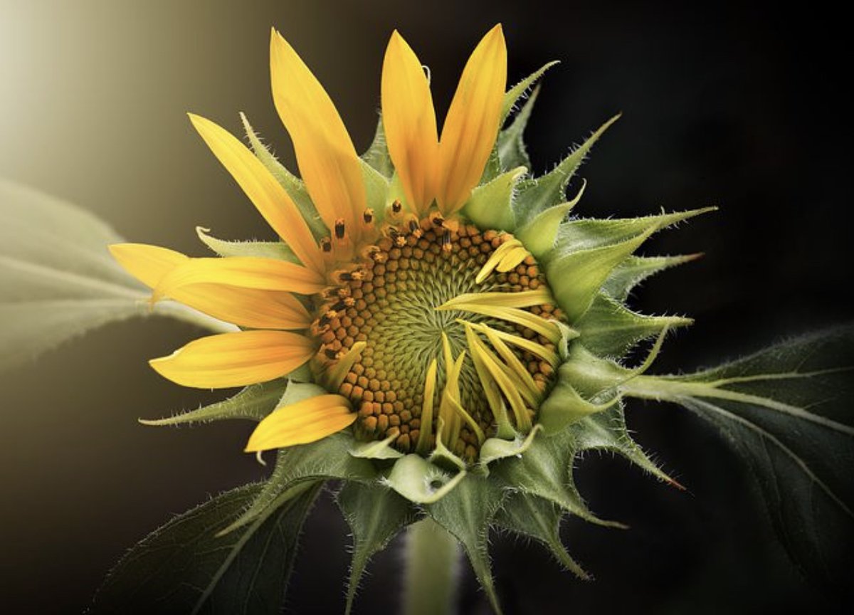 名言 Twitter Search