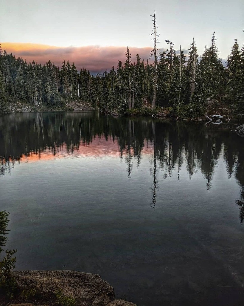 Oregonexplored tweet media