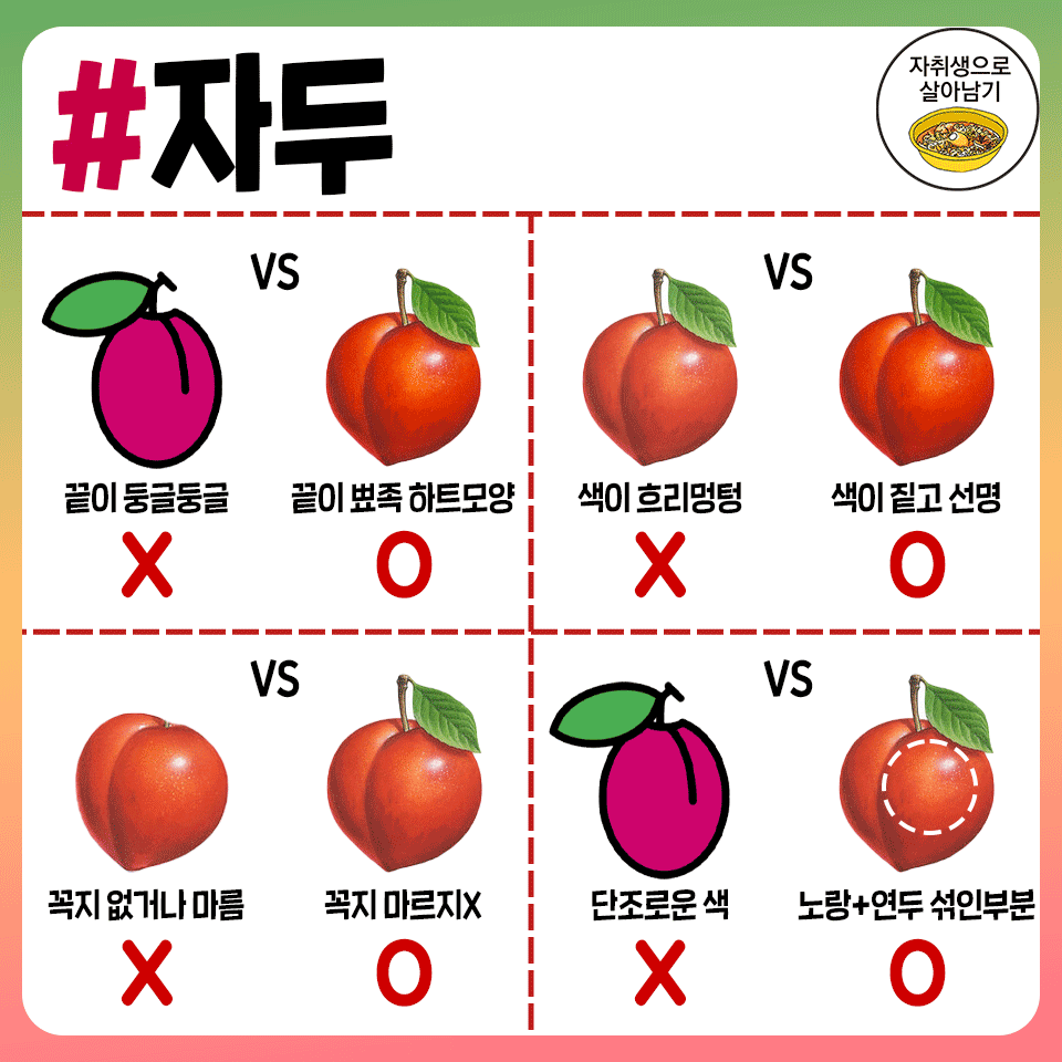 ggultips's tweet photo. 절대 실패없는 여름과일 존맛탱 고르는 방법 타래 https://t.co/DvzETnX8iK