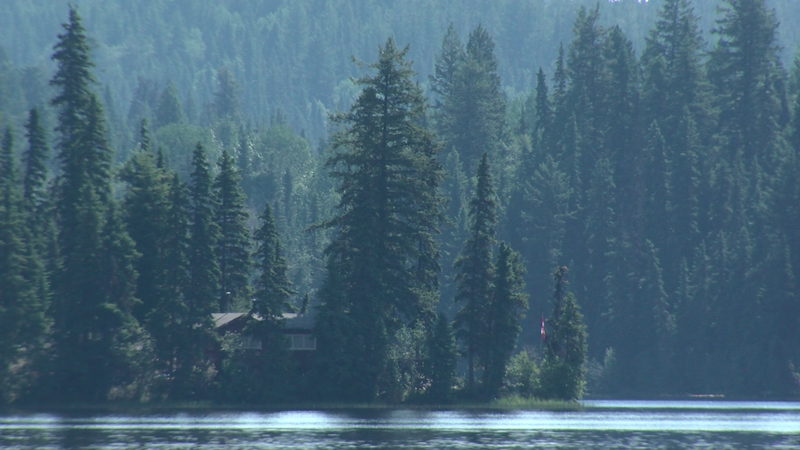 ckpgnews's tweet photo. Research looks into human impact on aquatic plant life at Bednesti Lake https://t.co/D2q3jJ1IOd https://t.co/ktZZTuEp11