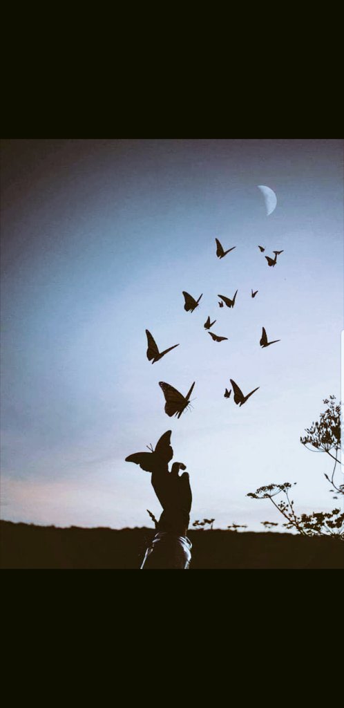 ناديت لكن لم يجبني سوى الصدى 
ويلي إذا ما ضاع صوتي في المدى 

كل المشاعر تهتري في لحظة
والعمر يذهب بالذي أهوى سدى

#فرح_اليافعي