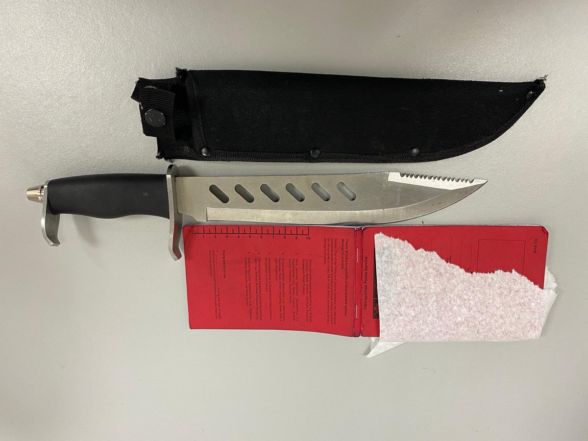 Five males detained this evening in @walthamforest following reports of suspicious activity. Two knives recovered following a search with PD Max from NE DSU. Males arrested  #thenoseknows #pdpalmermax