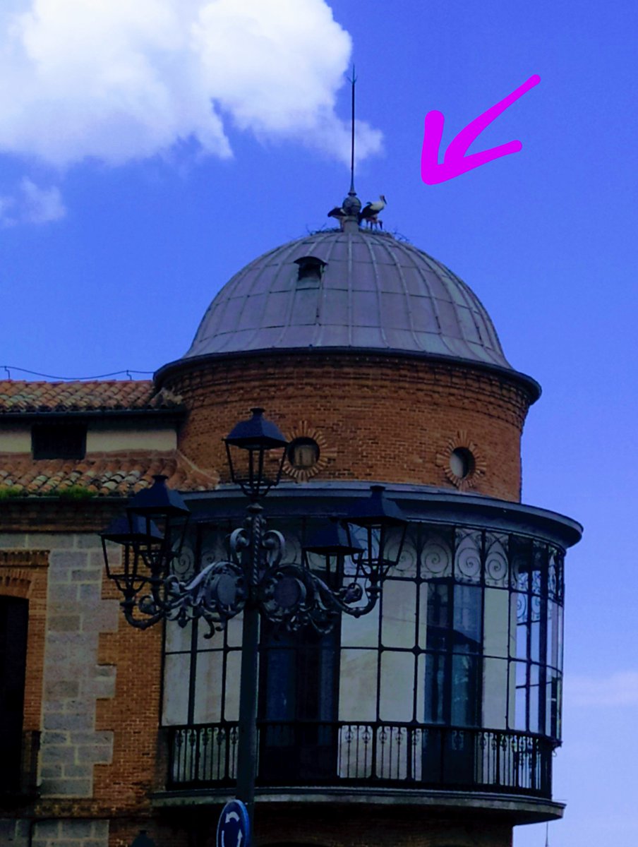 Msol59's tweet photo. @helenacerveto @pater112 @PaulaFront24 @gbuenadicha Después,me tomé una 🍻caña en #ElRoca😋camino de El Recreo, dónde vi🧐a una prima de #Blasa en lugar privilegiado😉... https://t.co/TNWhLqoDcf