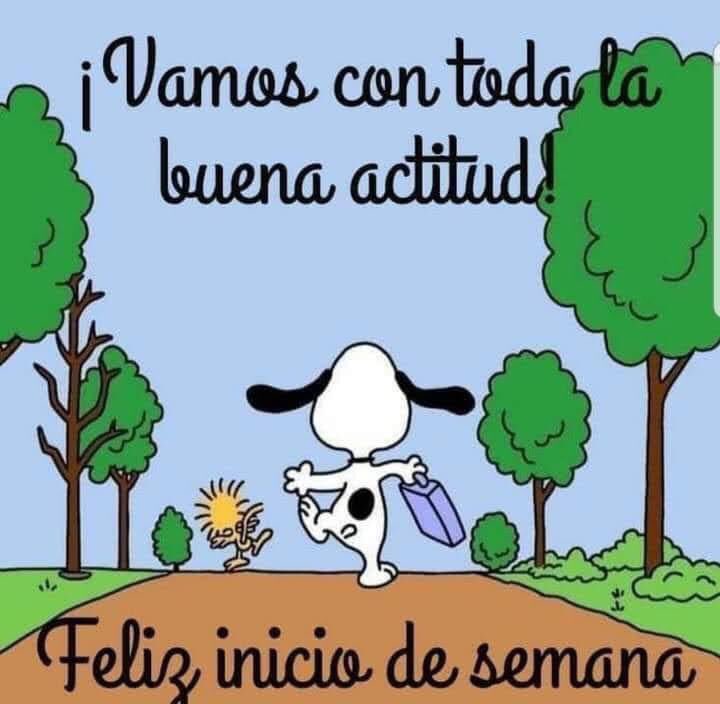 Sophie Sant (@sophie_sant) on Twitter photo <a href="/VicDAlba1/">Vic D'Alba 🇲🇽🇲🇽</a> <a href="/MariaEl95097388/">Mariel</a> <a href="/laadelita3/">🎀 𝒜𝒟𝐸𝐿𝐼𝒯𝒜 🎀</a> <a href="/DULCEPOLY11/">DULCE POLY</a> <a href="/Cruzamaranta/">Virginia Cruz</a> <a href="/cevalloslaura/">Laura Cevallos</a> <a href="/PatFlova/">Patricia Flores</a> <a href="/EEYYYAA/">Eya ❣️</a> <a href="/ARIESS1805/">Thessa</a> <a href="/rociomag3/">ROSQUI MARÍA</a> <a href="/MinervaPerales4/">Minerva Perales Calderon</a> <a href="/BeanaNova/">gregorio beaña nova</a> <a href="/nefryss/">América Rubio</a> @LaMacuspanita <a href="/albav_d/">D'AlbaVic 🇲🇽🇲🇽🇲🇽</a> @PrianiDalia <a href="/PROMMAIZ/">PROMMAIZ, 100% AMLO VICENTE LLAMAS G. RED-AMLO</a> <a href="/4T_Mexico_/">Manolo Obradorista por Siempre ¡VIVA MÉXICO!</a> <a href="/alapez/">alejandra</a> <a href="/AnitaJimen/">Anita Jiménez</a> <a href="/Nat_Soef/">Sio 🇲🇽</a> <a href="/hula_gonna/">Hula Gona</a> Igualmente mi querido Vic y amigos. Feliz inicio de semana 😊🌹 <a href="/VicDAlba1/">Vic D'Alba 🇲🇽🇲🇽</a> <a href="/MariaEl95097388/">Mariel</a> <a href="/laadelita3/">🎀 𝒜𝒟𝐸𝐿𝐼𝒯𝒜 🎀</a> <a href="/DULCEPOLY11/">DULCE POLY</a> <a href="/Cruzamaranta/">Virginia Cruz</a> <a href="/cevalloslaura/">Laura Cevallos</a> <a href="/PatFlova/">Patricia Flores</a> <a href="/EEYYYAA/">Eya ❣️</a> <a href="/ARIESS1805/">Thessa</a> <a href="/rociomag3/">ROSQUI MARÍA</a> <a href="/MinervaPerales4/">Minerva Perales Calderon</a> <a href="/BeanaNova/">gregorio beaña nova</a> <a href="/nefryss/">América Rubio</a> @LaMacuspanita <a href="/albav_d/">D'AlbaVic 🇲🇽🇲🇽🇲🇽</a> @PrianiDalia <a href="/PROMMAIZ/">PROMMAIZ, 100% AMLO VICENTE LLAMAS G. RED-AMLO</a> <a href="/4T_Mexico_/">Manolo Obradorista por Siempre ¡VIVA MÉXICO!</a> <a href="/alapez/">alejandra</a> <a href="/AnitaJimen/">Anita Jiménez</a> <a href="/Nat_Soef/">Sio 🇲🇽</a> <a href="/hula_gonna/">Hula Gona</a> Igualmente mi querido Vic y amigos. Feliz inicio de semana 😊🌹