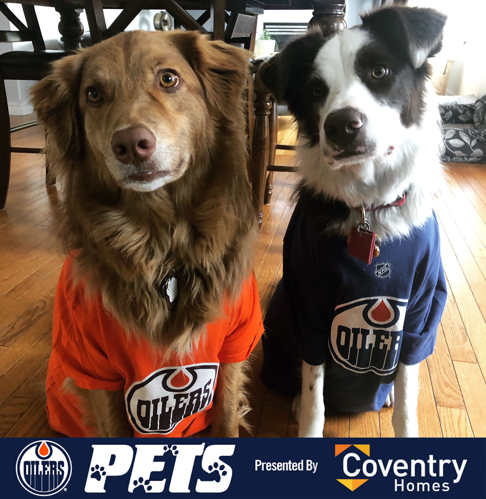 Edmonton Oilers NHL Dog Jacket