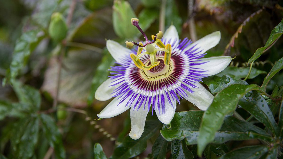 メリアルーム 土日いいね お休みです Meriaroom טוויטר