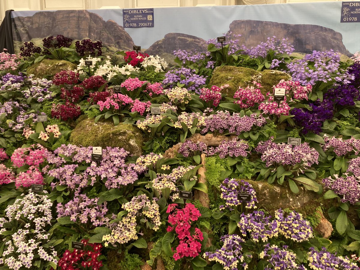 Great day judging in the Floral Pavilion at <a href="/The_RHS/">The RHS</a> Hampton Court Palace Flower Show and here are a few of the exhibits we judged. #gardening #flowershows