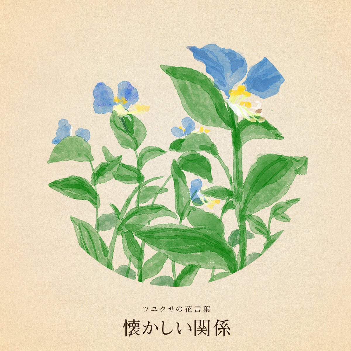 はな言葉 新刊出ました きょう7月6日は サラダ記念日 公認会計士の日 ピアノの日 ゼロ戦の日 記念日の日 ワクチンの日 誕生花はツユクサ 花言葉 懐かしい関係 はな言葉 新刊出ました きょう7月6日は サラダ記念日 公認会計士の日 ピアノの日 ゼロ戦の日 記念日の日 ワクチンの日 誕生花はツユクサ 花言葉 懐かしい関係