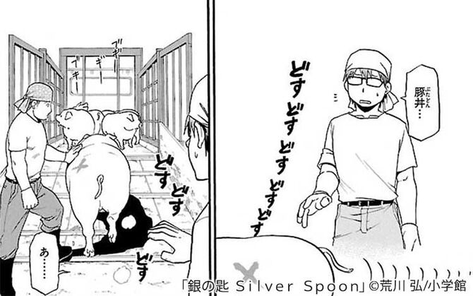 ここらへん、「銀の匙」などでも描かれていますが、家畜の食肉処理は、「落としてバラせばい」なんて単純な話ではないんですね。
特に豚は高度な知識と技術と経験を必要とします。
ブタはその生態上、その処置を間違えると、食中毒などの原因になるんです。