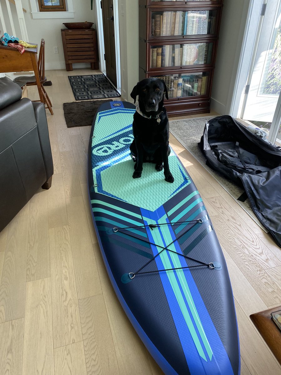 cmrogers's tweet image. #supdogs