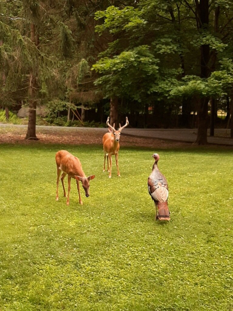 Jason Pilkington tweet media