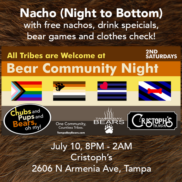 Tampa Bay Bears tweet media