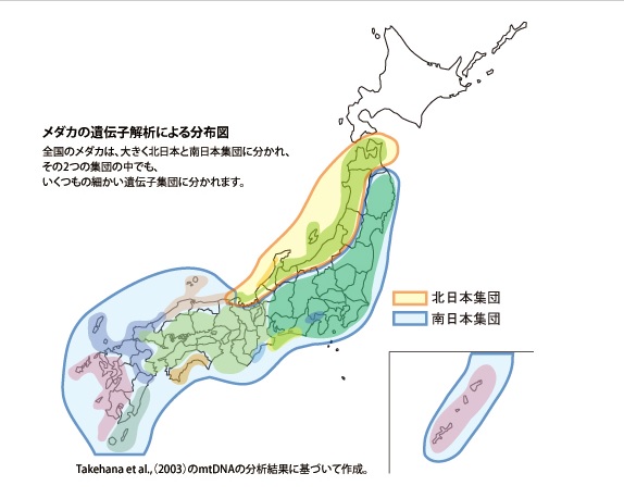 江戸時代のtwitterイラスト検索結果 古い順