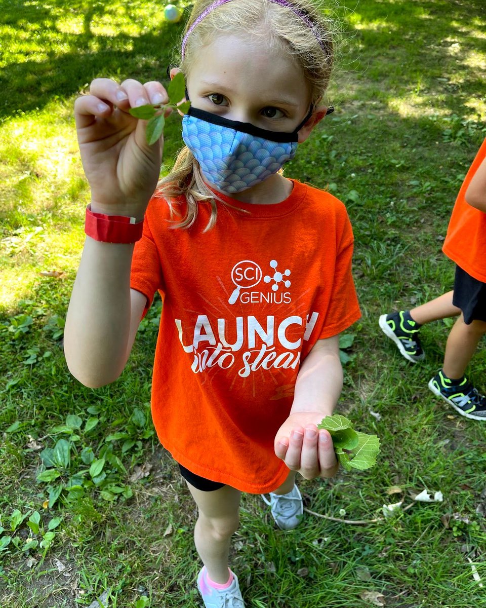 Our Campers love Taking it Outdoors for fresh air! #scigenius#outdoorcamp#innovators#steam https://t.co/vl6QAC5IJL