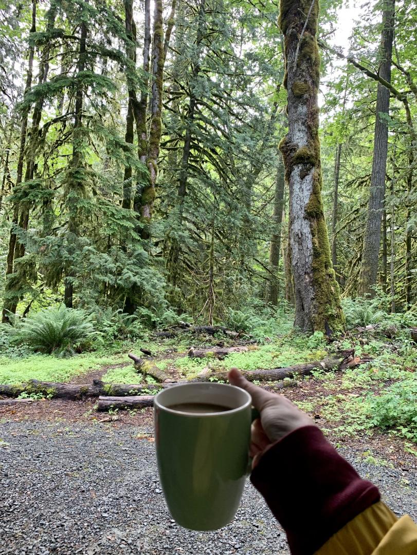 get yourself outside🌲

that's all.😊✌️