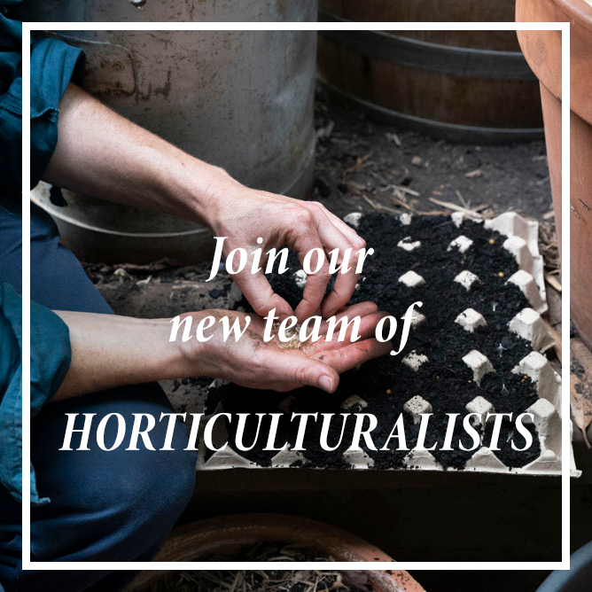 Are you an enthusiastic and engaged horticulturalist with a passion for regenerative garden practices? We’re recruiting a new team to help us kick off a brand new pathway for young people in STREAT’s Green Job Pathways project! Apply here: buff.ly/3yknqok