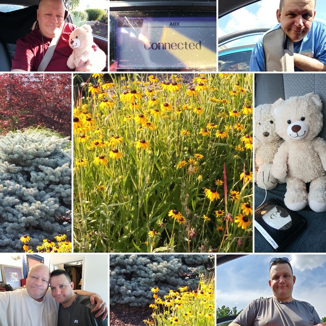 DaddyAndCub's tweet image. MONDAY, MONDAY
"I'll give you a daisy a day, dear..." 
____________

"I'll give you a daisy a day, dear..."  Remember that song? I sure do!

I don't think those are daisies in the picture. I think they are Lazy Susans? But, there they were in the drive-thru!