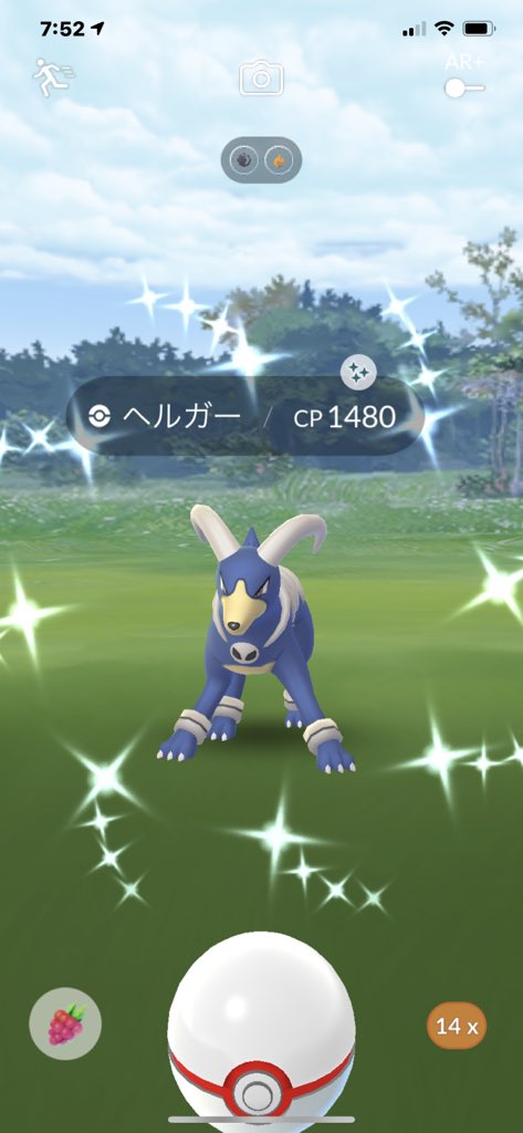 ポケモンgo ヘルガーの色違い 入手方法と実装状況 攻略大百科 ポケモンgo ヘルガーの色違い 入手方法と実装状況 攻略大百科