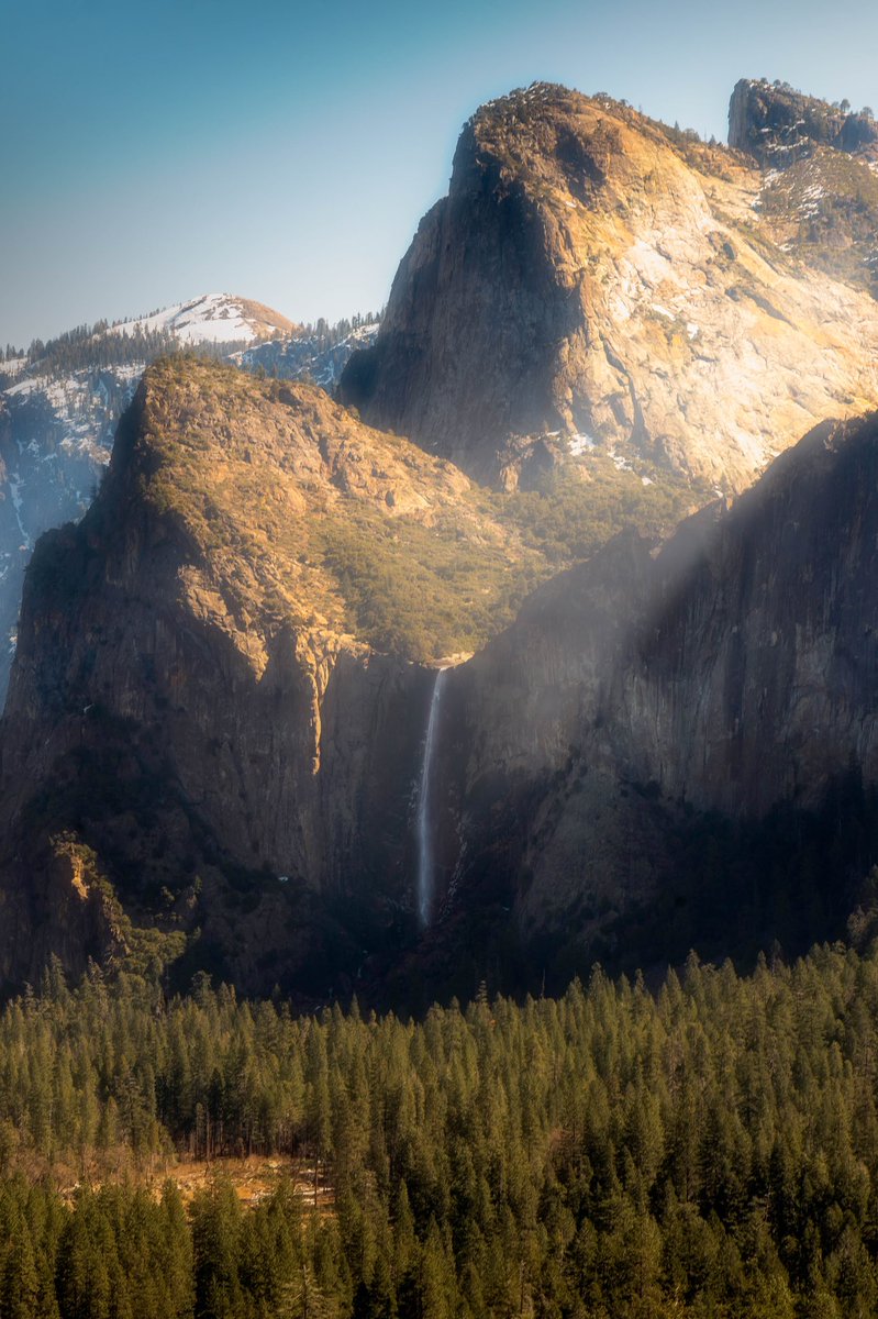 Sara Vozel tweet media