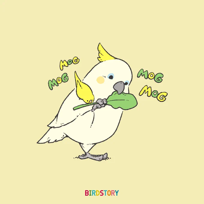 おはようございます。
本日は7月6日、歌人の俵万智さんの一首「この味がいいねと君が言ったから 七月六日はサラダ記念日」に因んで、サラダ記念日とのことです🥕
#BIRDSTORY 
#サラダ記念日 