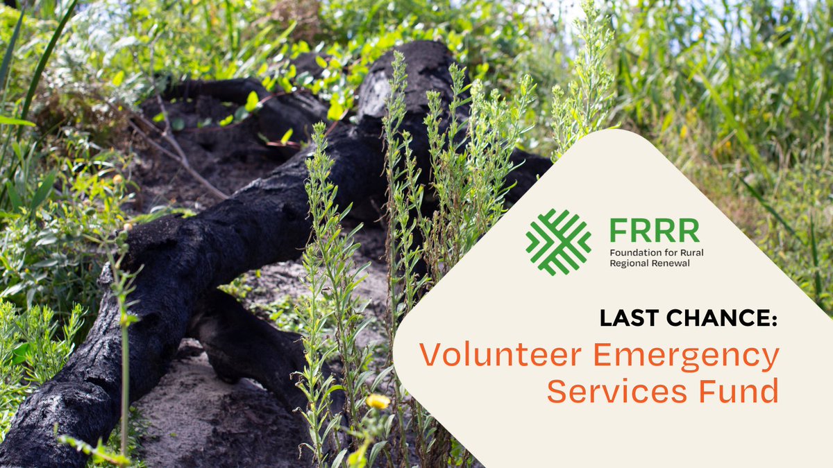 FRRR_Oz's tweet photo. CLOSING TOMORROW: The Volunteer Emergency Services Fund Grant Program 🙌 Grants of up to $25K are available for volunteer emergency services and first responders supporting communities affected by the 2019/20 bushfires.
To apply, visit: https://t.co/41pWkW2EgF
#VESF #Volunteer https://t.co/1bXtaJ5ab6