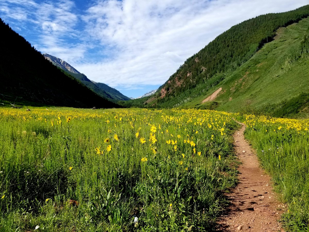 Michelle Kulinec tweet media