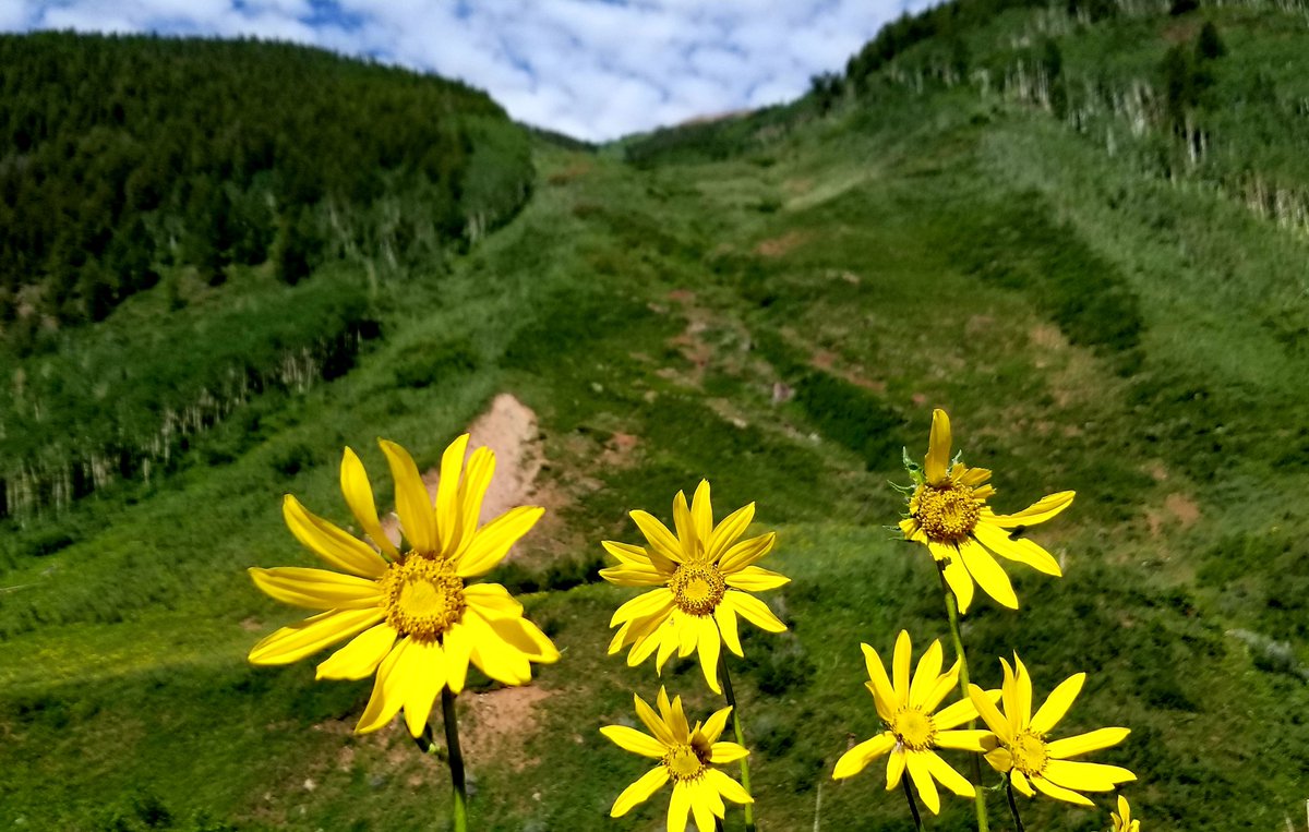 Michelle Kulinec tweet media