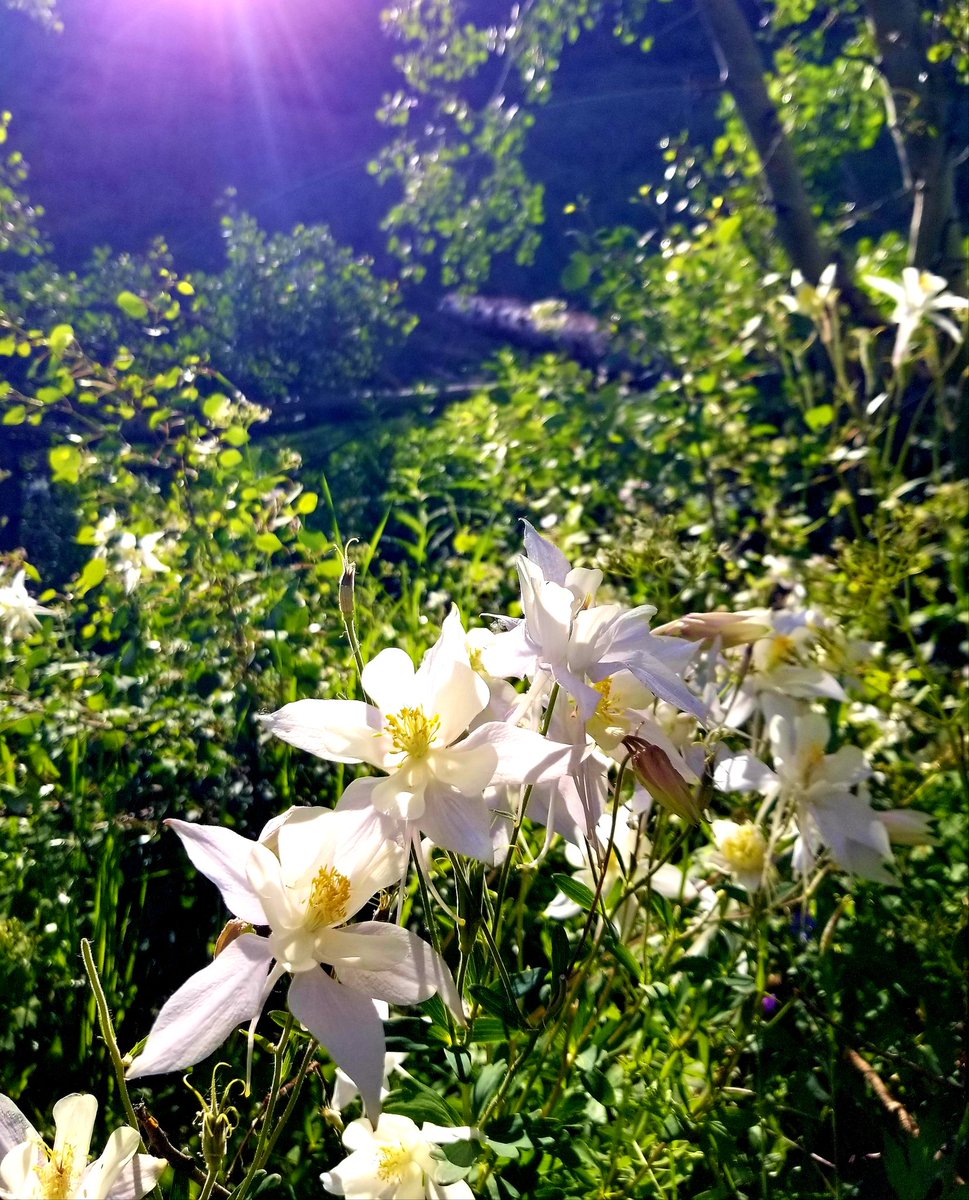 Michelle Kulinec tweet media