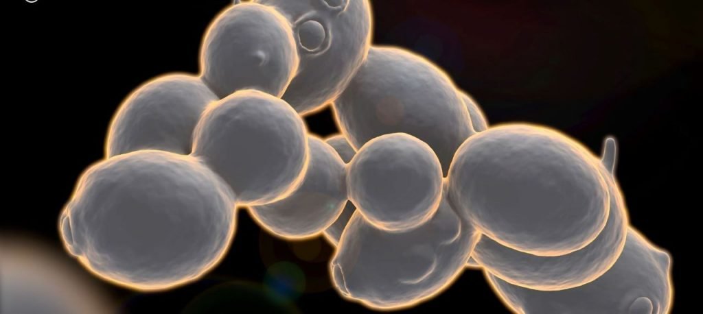 enolife.ar (@enolifea) on Twitter photo Una investigación del <a href="/INRAE_France/">INRAE</a>, que la empresa Lallemand compartió con #Enolife, testeó cómo las levaduras inactivas protegen al vino de la oxidación.👉enolife.com.ar/es/estudio-dem…
<a href="/LOenology/">Lallemand Oenology</a> <a href="/silgimenez121/">Silvana Giménez</a> <a href="/Adriana73821295/">Adriana Malizia</a> <a href="/jimearboit/">Jimena Arboit</a> <a href="/APEAArgentina/">A.P.E.A.A.</a> Una investigación del <a href="/INRAE_France/">INRAE</a>, que la empresa Lallemand compartió con #Enolife, testeó cómo las levaduras inactivas protegen al vino de la oxidación.👉enolife.com.ar/es/estudio-dem…
<a href="/LOenology/">Lallemand Oenology</a> <a href="/silgimenez121/">Silvana Giménez</a> <a href="/Adriana73821295/">Adriana Malizia</a> <a href="/jimearboit/">Jimena Arboit</a> <a href="/APEAArgentina/">A.P.E.A.A.</a>