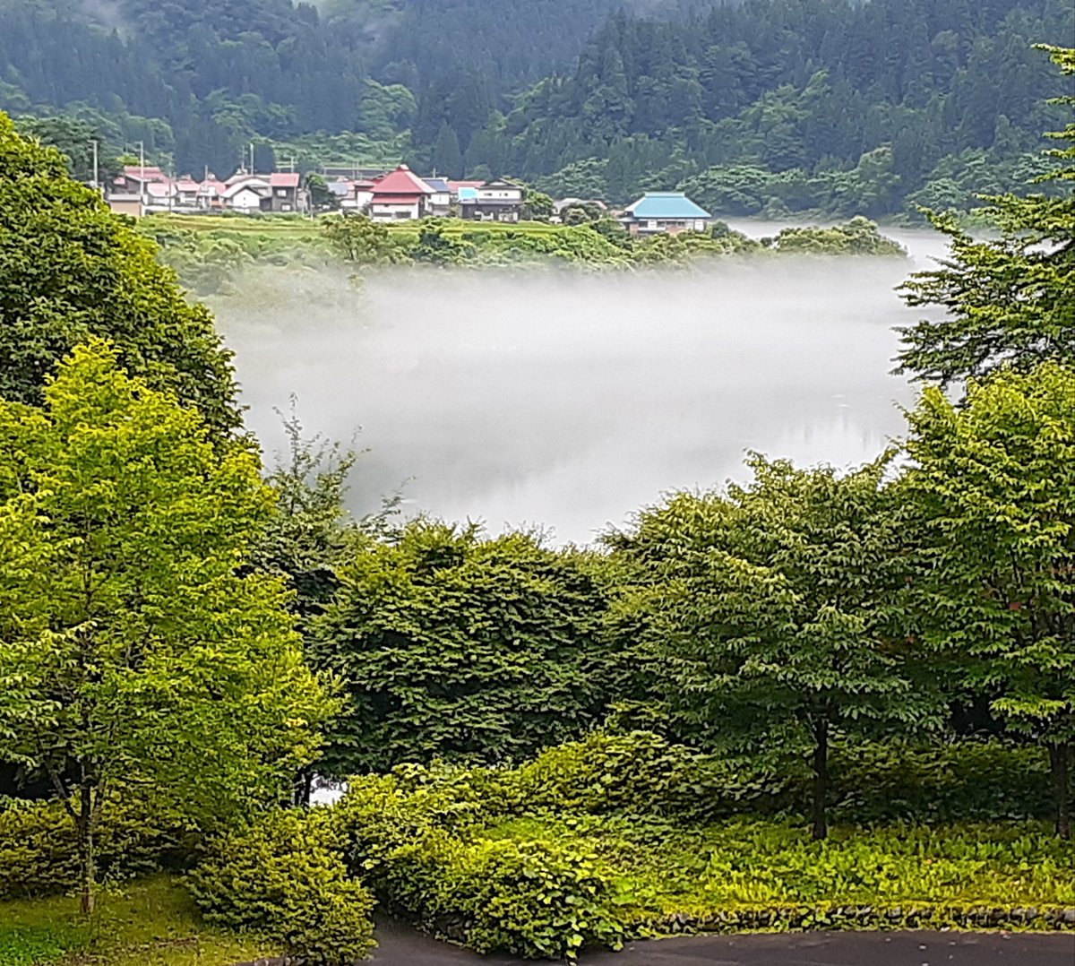 霧幻峡 Twitter Search