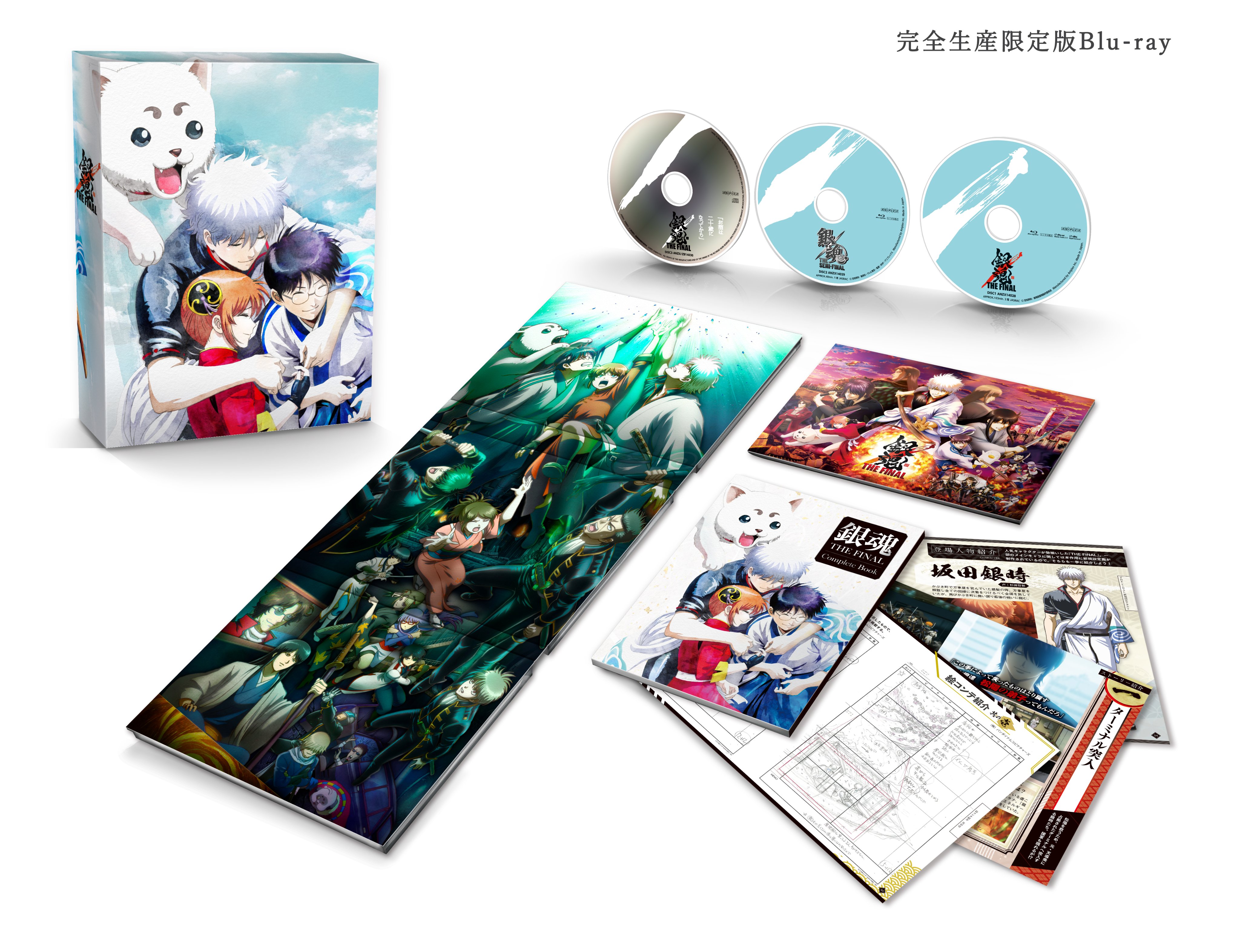 銀魂2 DVD(初回限定版)＆劇場パンフレット Amazon.co.jp: 【映画パンフレット】銀魂2 掟は破るためにこそ