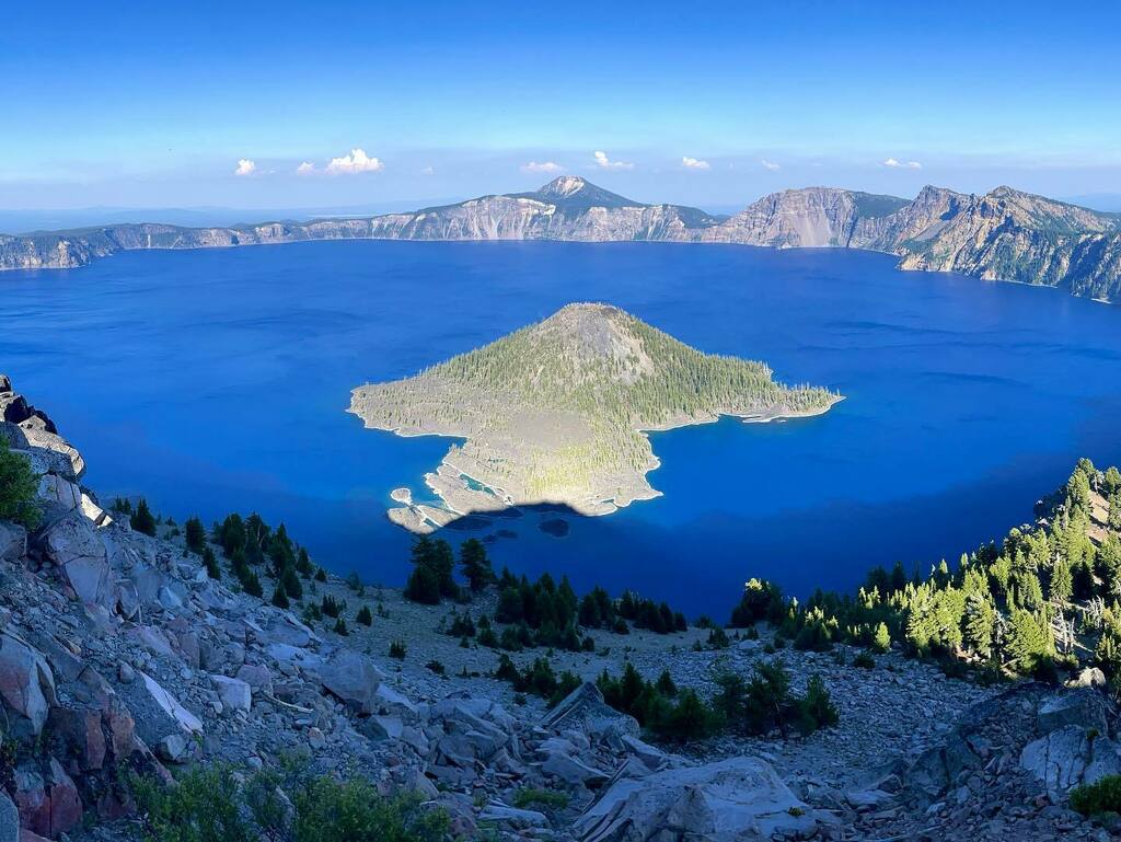 elton lin tweet media