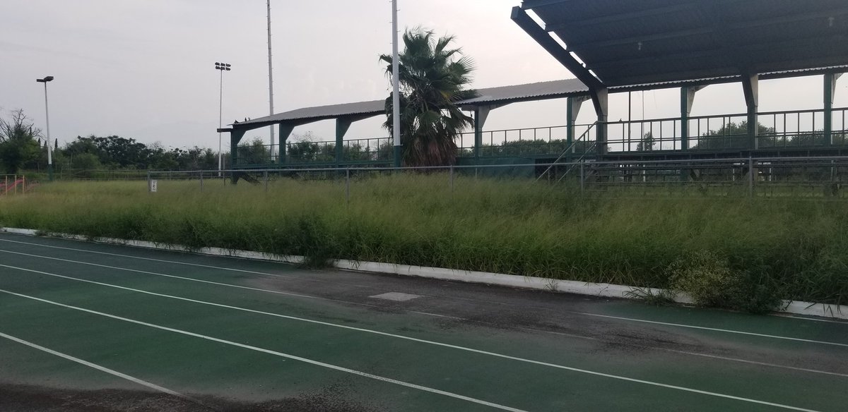 jponce78's tweet photo. En pésimas condiciones #parquelatalaverna, mucha hierba y muy alta, demasiados zancudos y demás mosquitos @municipiodegpe @GAMEZMARIO @VictorBadillo74 https://t.co/FXd3p2pfsp