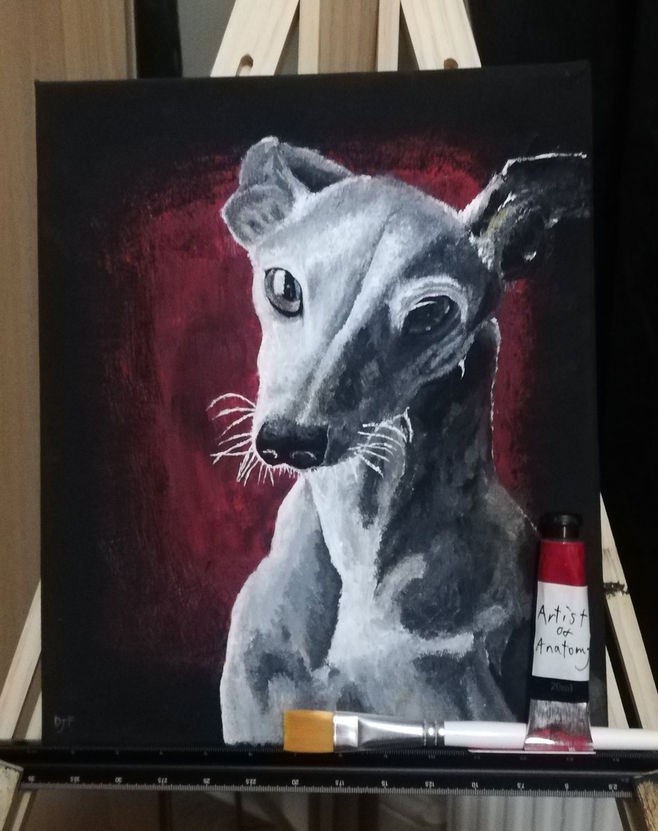 I will start reposting some of my older work along with new stuff hear aswell 🤟🐶🤟
#art #artwork #acrylicpaint #painting #ukartist #petpaintings #lockdownart #greyhound #whippet #dog #realism #canvasart #traditionalstyle