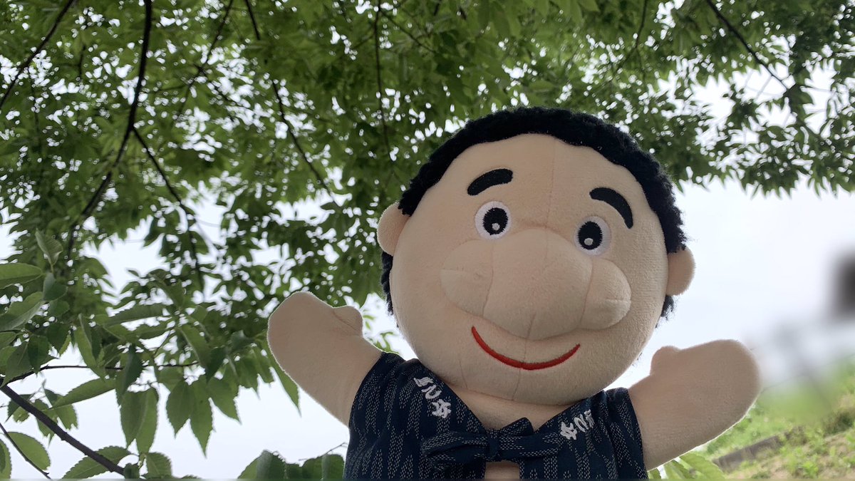 浜乙女 でえたらぼっち 公式 Hamaotome Db Twitter