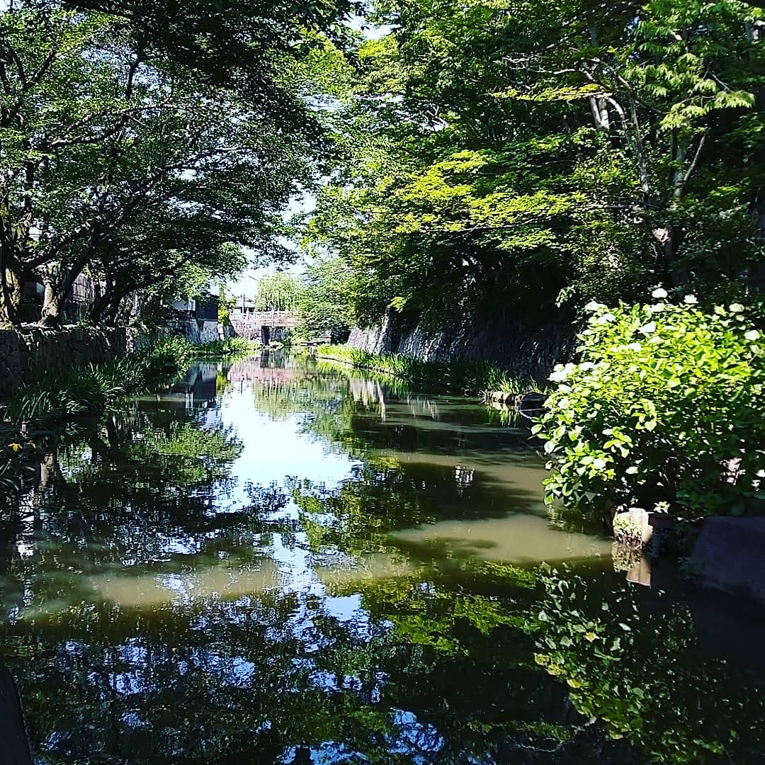 らんまる君 近江八幡観光物産協会 W9fmljnq0vk9r0v Twitter