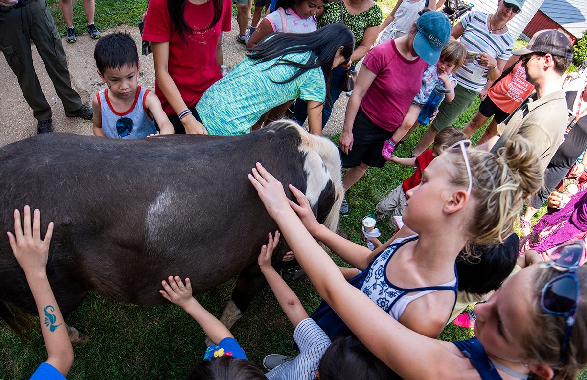 TusculumFarm's tweet photo. Our farm tour day is back! 
Sun, 7/25, 12 - 4 pm

Join us for an afternoon celebrating The Farm's rich agricultural history. Enjoy farm tours, live music, face painting, food trucks, &amp; farm activities such as honey harvesting and a flower arranging workshop.

Admission is free! https://t.co/RbLg5UQHkQ