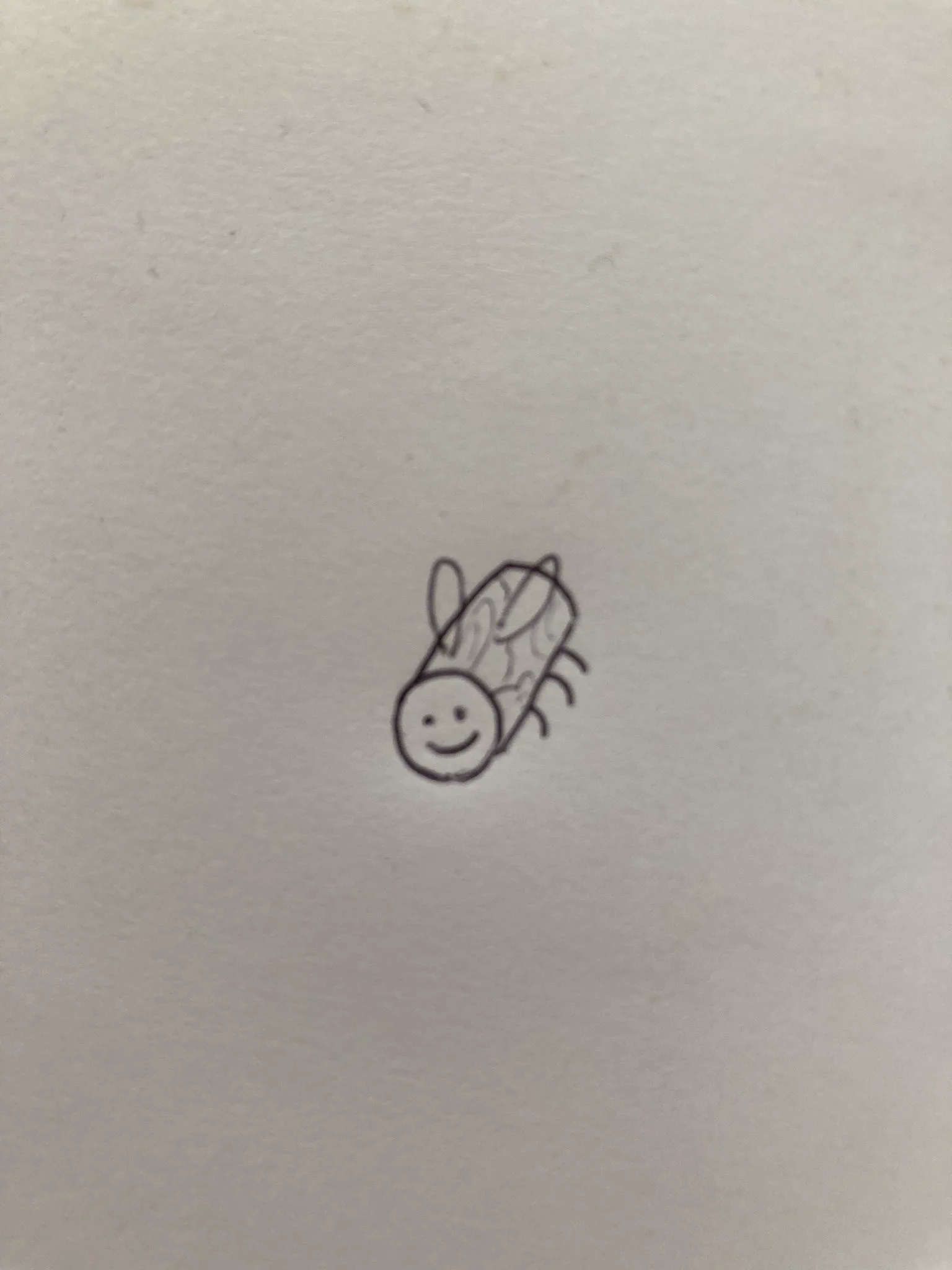 @tuna_suma 小さい頃に、☺︎この顔で丸太みたいな虫が服にくっついてきた！
と言っても、親も友達も誰も信じてくれなくて
妖精だったのか…？とすら感じていたのですが
それから20年が経ち、ようやく解明しました！
絶対にこの虫です！スッキリしました…本当にありがとうございました😭 