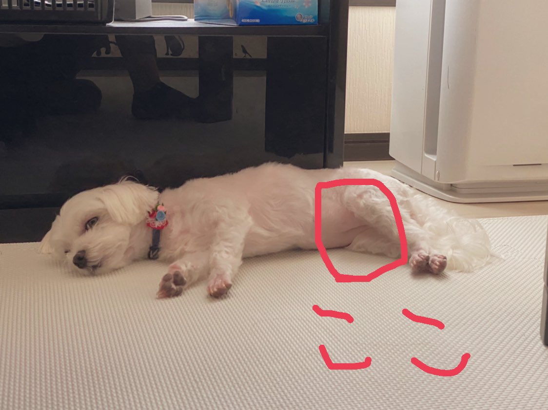 ☆sAyaka☆ (@sAyaka_0526) / Posts / X