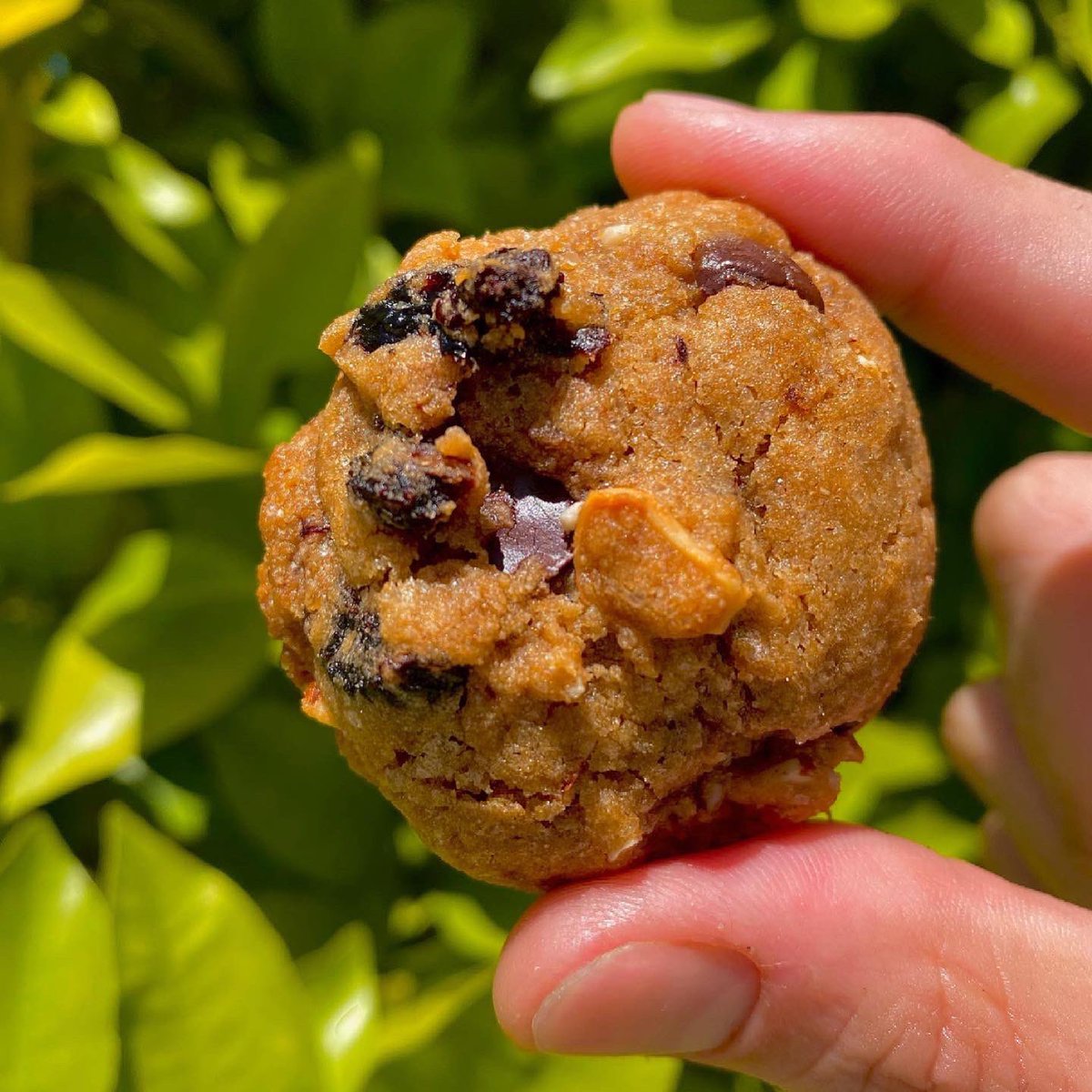 LeafStoneVegan's tweet photo. LEAF + STONE | VEGAN INFUSED BAKERY

🏕 GONE CAMPING 🏕

Here’s our new menu!!! https://t.co/dQsUdflMQp