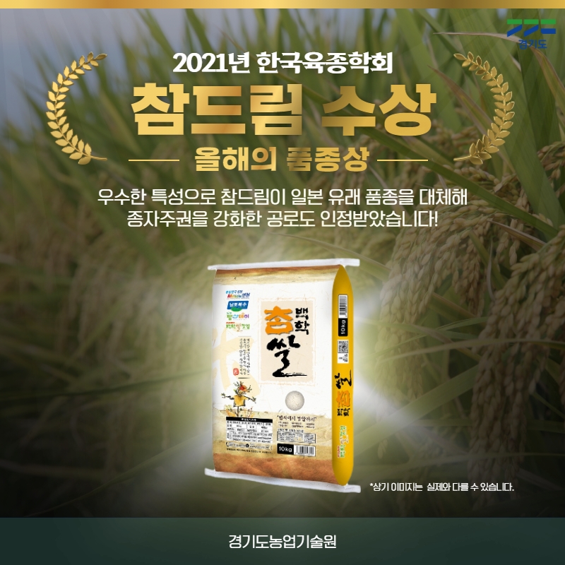 ggnong0126's tweet image. 안녕하세요, 여러분!👐
#경기도농업기술원 입니다.😊

경기도농업기술원에 
좋은 소식이 생겼습니다.🤭

한국육종학회에서 저희가 개발한 
「#참드림」이 올해의 품종상을
수상하였습니다.  모두 뽝수!👏👏👏👏

앞으로도 계속 농업인 삶의 질 향상에
노력하겠습니다!

#한국육종학회 #올해의품종상🌾