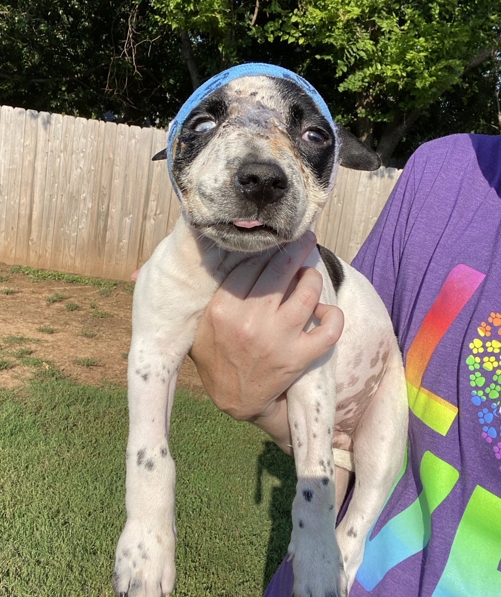 Lindsay Long tweet media