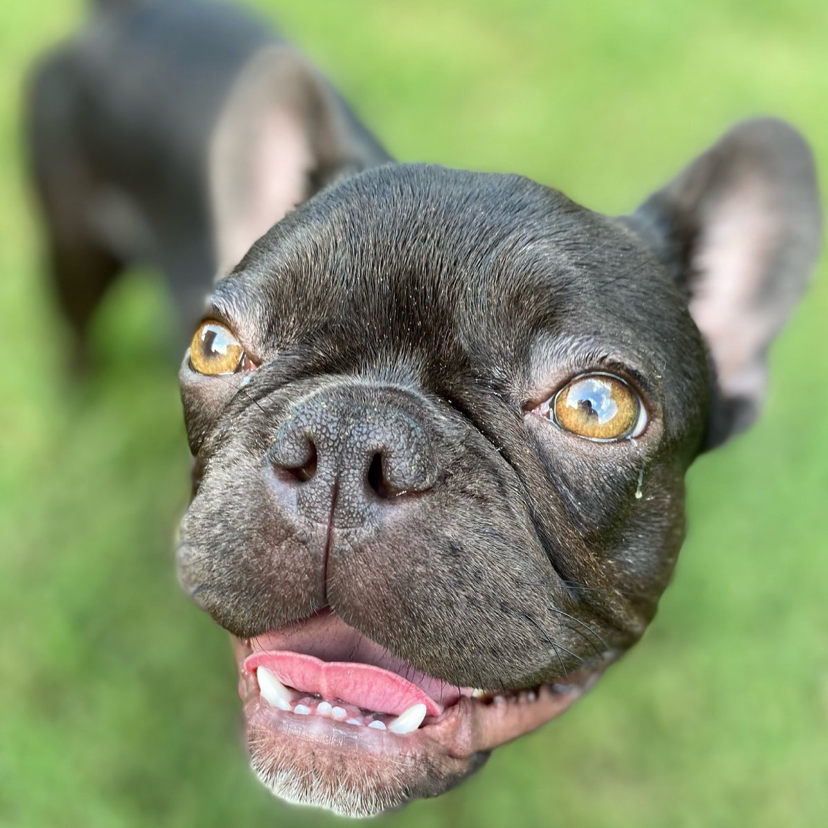 Lindsay Long tweet media