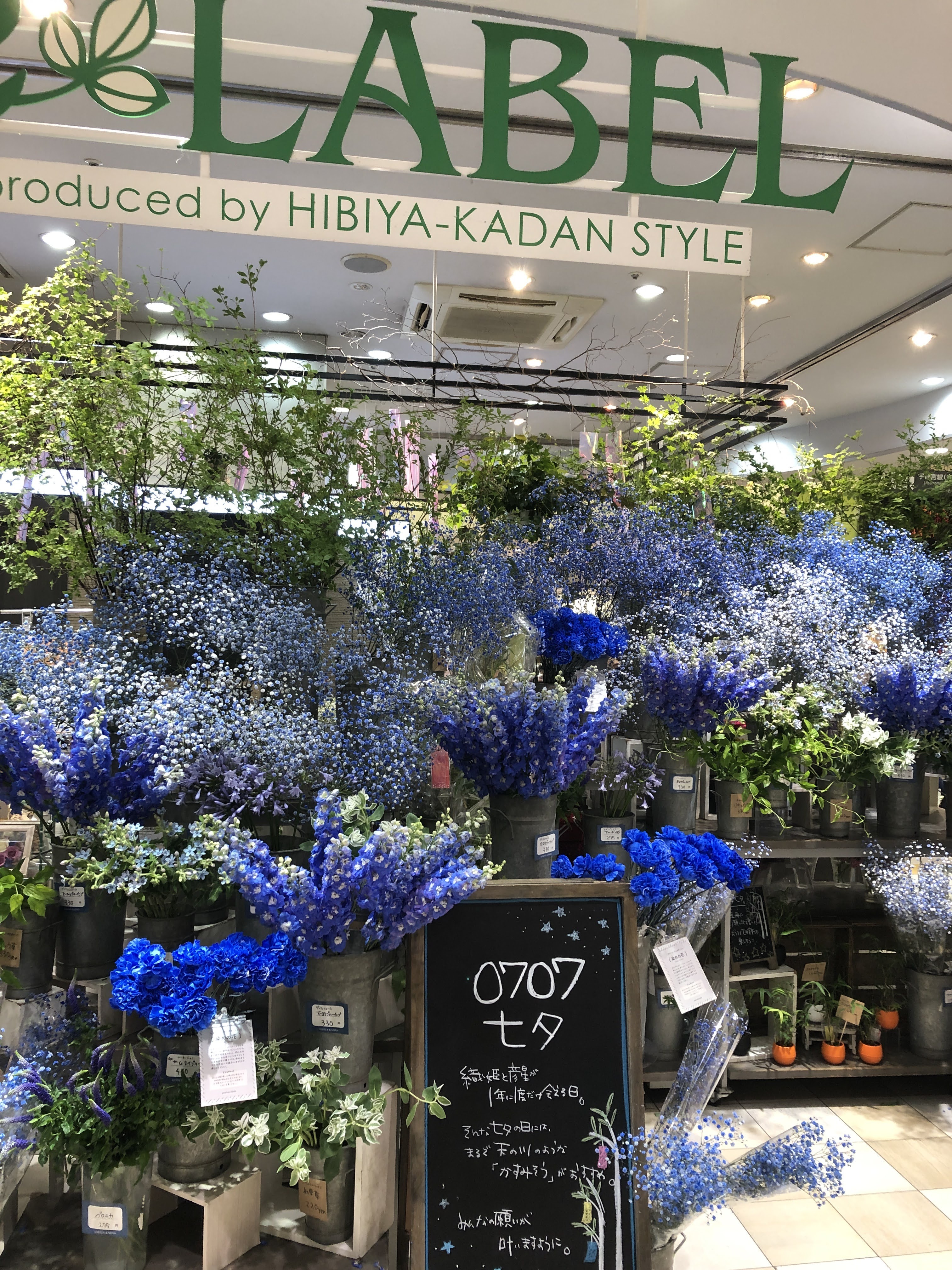 エキュート大宮 大宮 ノース 七夕にお花を飾ろう 7月7日 水 は 七夕 です イーレーベルでは七夕をイメージしたお花をディスプレイしています おすすめは まるで天の川のような かすみ草 です イーレーベル Ecute大宮 エキュート大宮