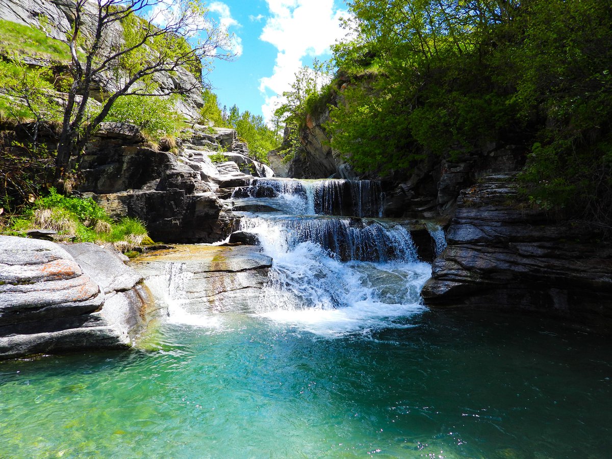 chaletnormalie tweet media