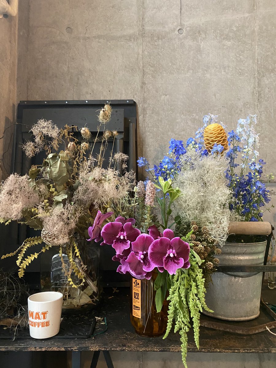 conveni_diet_'s tweet photo. 新しく仲間入り。ハッピー
#コチョウラン #パルフィニウム #クレマチス #ゴールデンジンジャー #ケイトウ #AtelierD https://t.co/ozFz3JZFCN