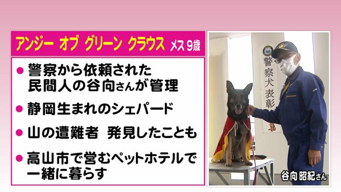 警察犬 が含まれるツイート 人気順 警察犬 が含まれるツイート 人気順