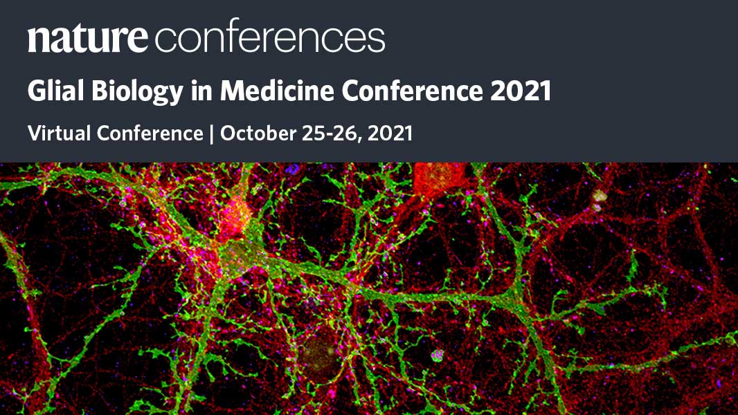 Nature Portfolio on Twitter: "Join us for a virtual conference on Glial Biology in Medicine Conference 2021 15 international experts present the most current in the field of Glial